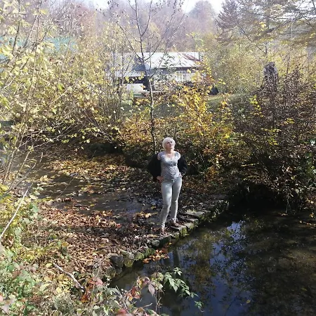 Stream *