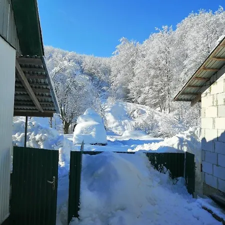 Guest house Stream *